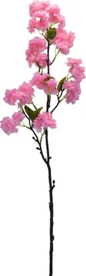 Produktbild von Frühjahrsblütenzweig hellrosa 90 cm