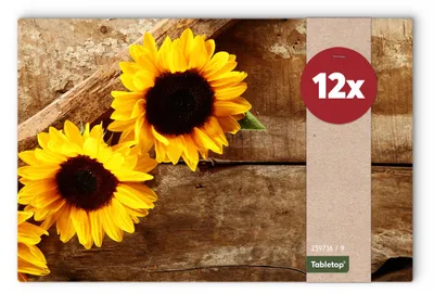 Produktbild von Abwaschbare Tischsets 12er Set Sommer Sonnen-Blumen