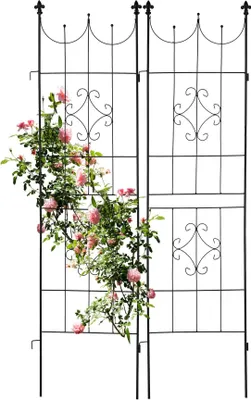 Produktbild von Bilderrahmen 2er Set 20 x 30 cm