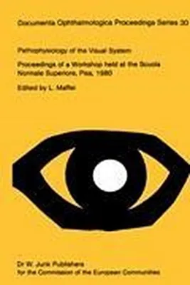 Image de Pathophysiology of the Visual System