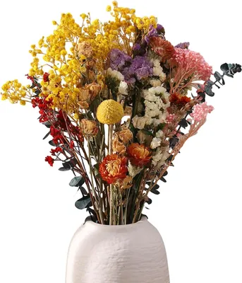 Productafbeelding van Famanu droogbloemenboeketten, 30 stuks - Natuurlijke decoratie voor vazen, knutselwerk en cadeaus
