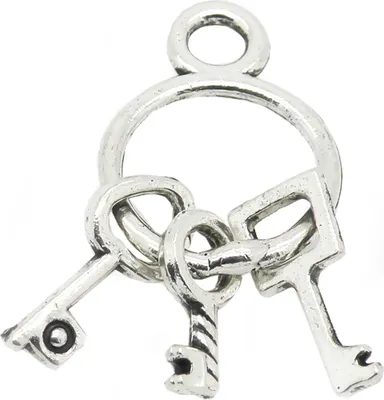 Produktbild von 30 Charm Anhänger Schlüsselbund, 27 x 12 mm silbern