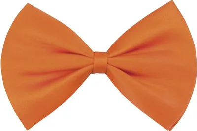 Produktbild von Fliege klassisch orange
