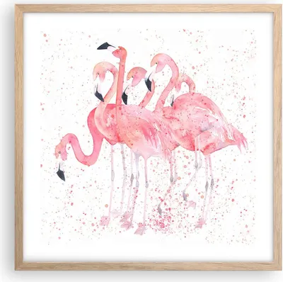 Produktbild von Gerahmtes Poster - Rahmen in heller Eiche - Flamingo Vogel Wasser - 50x50 cm - Wand Bild - Wanddeko - Wandbilder - Wandposter - Bilderrahmen - Bilder - Kunstdruck - Wandbild - P2NAC50x50-3899