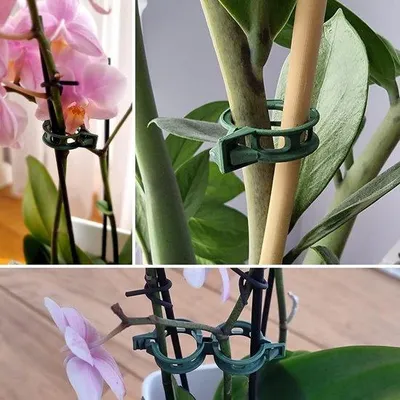 Productafbeelding van Famanu plantclips set, 100 stuks - ondersteuning voor groenten en bloemen