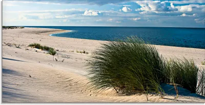 Produktbild von ARTland Glasbild Gras am Strand Größe: 100x50 cm
