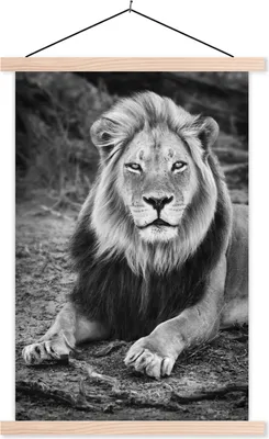 Produktbild von MuchoWow® Textilposter Tiere - Schwarz - Weiß - Profil 40x60 cm mit holzfarbenen Rahmen - Poster