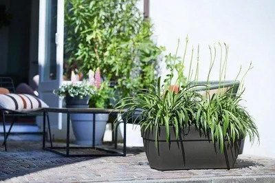 Immagine prodotto di Vasca da giardino per esterni - Ø 76,5 x H 33,3 cm - Antracite - Vibia Trough 80