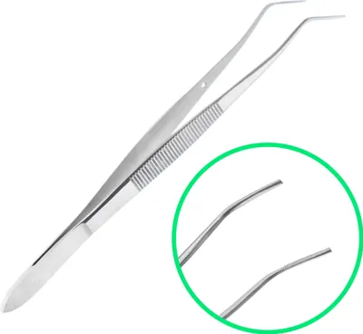 Image de Pincette à dents Meriam 16 cm double courbure Acier chirurgical