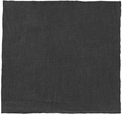 Produktbild von blomus LINEO Leinen-Serviette, Stoffserviette, Leinen, Magnet, B 42 cm, T 42 cm, 63727