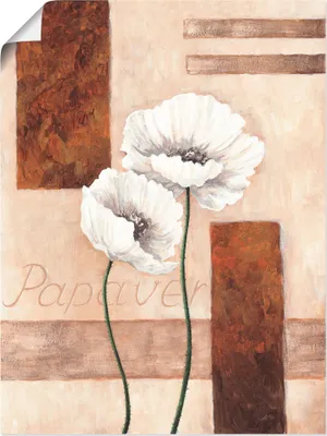 Produktbild von A. S.: Papaver - Mohnblumen, Produkt:Poster, Größe (HxB):40x30 cm / Poster