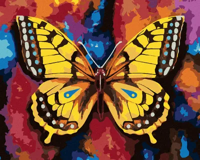 Produktbild von Zuty - Malen nach Zahlen - SCHMETTERLING AUF BUNTEM HINTERGRUND, 40x50 cm, mit Keilrahmen (bereits gespannt)