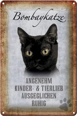 Produktbild von Blechschild Spruch 20x30cm Bombaykatze Katze Schild