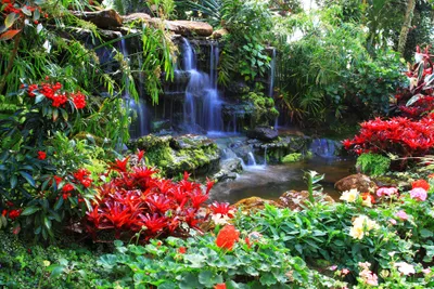 Produktbild von Fototapete Vlies 166 VEXXXL Kleiner Wasserfall 4-tlg. 416 x 254 cm