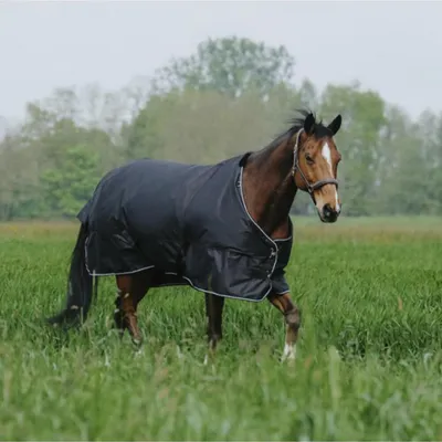 Image de Equithème Tyrex 600D – Couverture d’extérieur 50g - Taille 5'9 - Noir