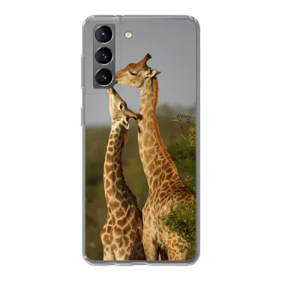 Produktbild von MuchoWow® Handyhülle Schutzhülle Hülle für Samsung Galaxy S21 Giraffe - Baum - Kalb - Porträt Silikon Softcase Handy Hülle - Softcase