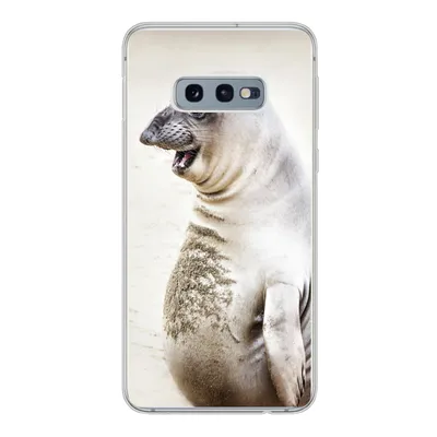 Produktbild von MuchoWow® Handyhülle Schutzhülle Hülle für Samsung Galaxy S10e Seeelefant - Lustig - Lachen - Kinder - Jungen - Mädchen - Kinder Silikon Softcase Handy Hülle - Handy