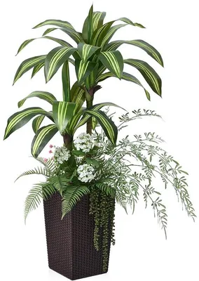 Obrázek produktu pro Umělá kapradina Drachenfarn, 120 cm, s UV ochranou a 6 mini rostlinami, hnědá, velká dekorace do obývacího pokoje a kanceláře, umělé rostliny, VN151