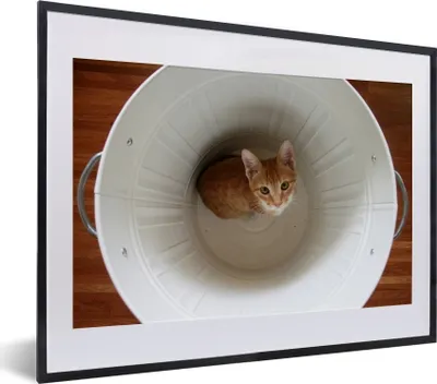 Produktbild von MuchoWow® MuchoWow® Gerahmtes Poster Katze - Mülleimer - Weiß 40x30 cm - Poster mit zchwarzem Bilderrahmen - Bilderrahmen - Poster im Rahmen