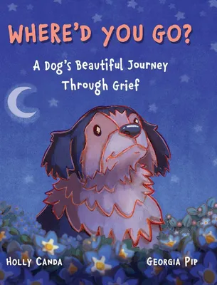 Produktbild von Where'd You Go?