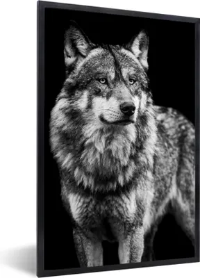 Produktbild von MuchoWow® Gerahmtes Poster Wolf - Tiere - Wild - Schwarz - Weiß 60x90 cm - Poster mit Schwarzem Bilderrahmen Wandposter Rahmen Foto Bilder - Kunst