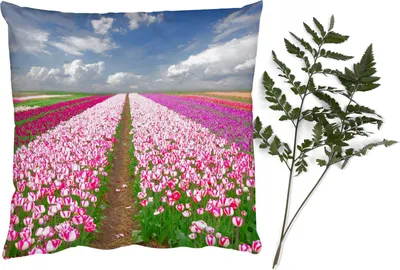 Produktbild von MuchoWow® Zierkissen Sofakissen Wohnzimmer Dekokissen 50x50 cm Tulpen - Sonne - Frühling - Komfort - Sofakissen