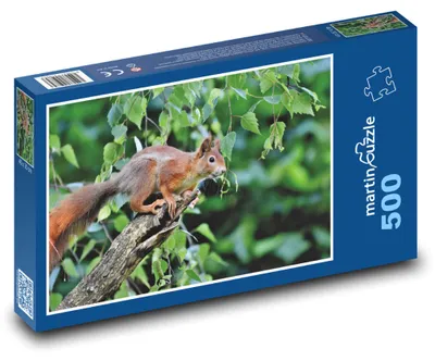 Obrázek produktu pro Puzzle 500 Veverka na stromě v lese - martinpuzzle