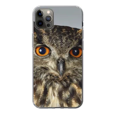 Produktbild von MuchoWow® Handyhülle Schutzhülle Hülle für iPhone 12 Pro Max Braune Eule mit hellblauem Hintergrund Silikon Softcase Handy Hülle - Hartschale