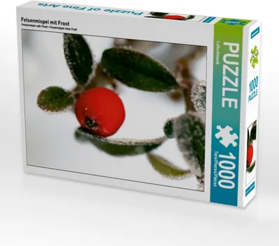 Produktbild von Calvendo Felsenmispel mit Frost 1000 Teile Puzzle quer 640x480mm, CALVENDO; 7414143