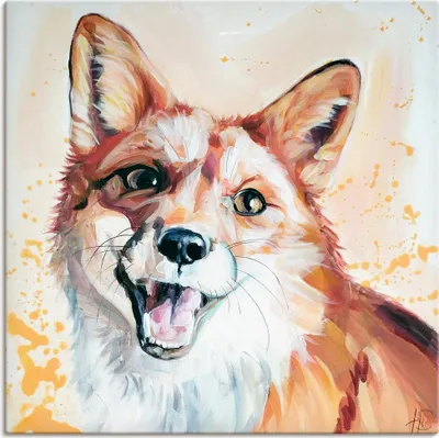 Produktbild von ARTland Leinwandbild Lächelnder Fuchs Größe: 30x30 cm