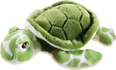 A plush toy turtle on a white background.