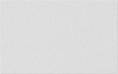 Produktbild von Erfurt Vliesfaser 1004312 Protect 204 10,05x0,53 m