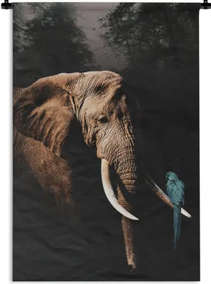 Produktbild von MuchoWow® Wandteppich Wandbehang Elefant - Papagei - Baum 90x135 cm Tapisserie Dekoration Wandtuch - Baumwolle - Wandskulptur