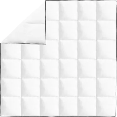 Produktbild von vidaXL Winter-Daunendecke 200x200 cm