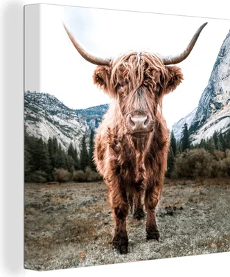 Produktbild von MuchoWow® - Leinwandbilder - Schottischer Highlander - Berg - Tiere, Wandbild, Wanddeko Bilder Wohnzimmer, 50x50 cm