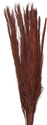 Zdjęcie produktu dla Suszone kwiaty Clayre & Eef 85 cm Czerwone suszone kwiaty