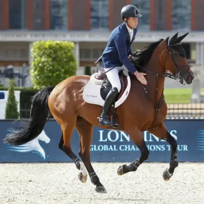 Image de Selle de cavalier LeMieux Suède EuroJump, couleur : blanc, taille : L