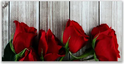 Produktbild von Glasbilder 140x70 Wandbild Druck auf Glas Rosen Pflanzen