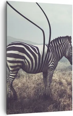 Produktbild von Bild auf Leinwand - Leinwandbild - Einteilig - Zebra Tier Wiese - 80x120cm - Wand Bild - Wanddeko - Wandbilder - Leinwanddruck - Wanddekoration - Leinwand bilder - Wandbild - PA80x120-3959