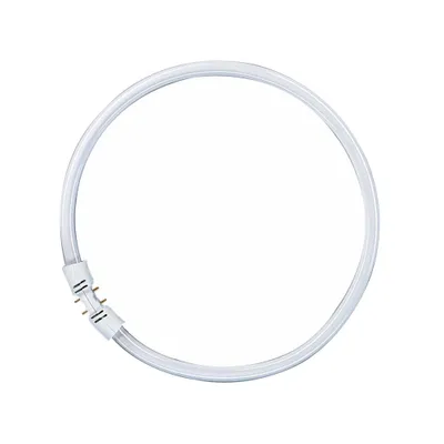 Immagine prodotto di Osram FC55W / 860 2GX13 Lampadina Circline Lumilux FC 55W 865