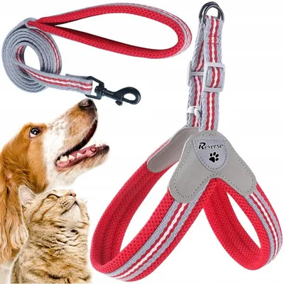 Produktbild von Reverse druckfreies Hund-Katze-Geschirr mit Leine, Größe S
