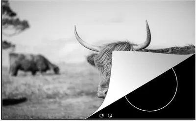 Obrázek produktu pro KitchenYeah® Krycí deska na sporák Scottish Highlander - Animals - Black - White , 80x52cm, dekorace do kuchyně, keramická krycí deska na sporák, krycí deska na varnou desku