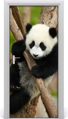Produktbild von Tulup Türaufkleber 95x205 cm Dekorative Aufkleber Selbstklebend Wasserdichte Tapete Abnehmbar Schlafzimmer Wohnzimmer Wohnkultur - Panda in einem Baum