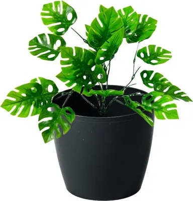Zdjęcie produktu dla Doniczka plastikowa 18x16cm Czarna osłonka dekoracyjna