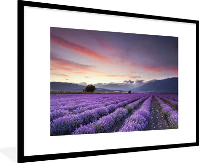 Produktbild von MuchoWow® Gerahmtes Poster Sonnenuntergang über Lavendel 90x60 cm - Poster mit Schwarzem Bilderrahmen Wandposter Rahmen Foto Bilder - Wanddekoration - Fotos