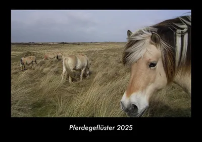 Produktbild von Pferdegeflüster 2025 Fotokalender DIN A3