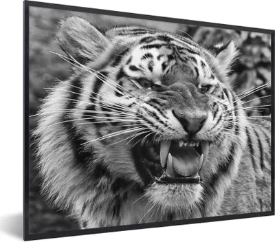 Produktbild von MuchoWow® Gerahmtes Poster Tiger - Tiere - Schwarz - Weiß 40x30 cm - Poster mit Schwarzem Bilderrahmen Wandposter Rahmen Foto Bilder - Kunstposter - Wanddekorationen