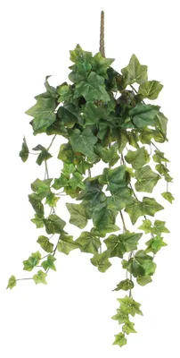 Produktbild von Kunstpflanze Mica Efeu H 71 cm grün
