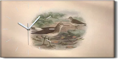 Produktbild von Küchenuhr Bürouhr Leinwand Uhr Quarz 60x30 Vögel Wild Tiere Zeichnung Kunst - weiße Hände
