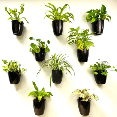 Productafbeelding van Omgoods - Set van 10 Zwart Zelfwaterende Wandplantenpotten